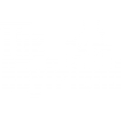 The Boyfriend