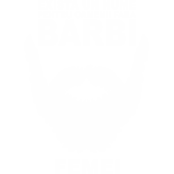 Fara Barbi
