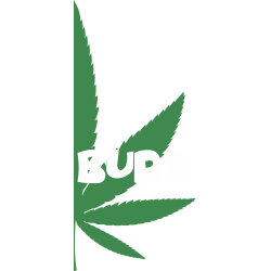 Best Buds 2