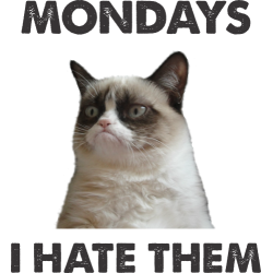 Mondays, I Hate Them