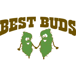 Best Buds 3