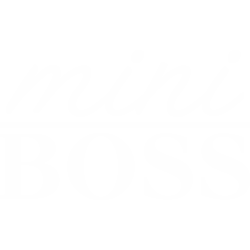 Mini BOSS