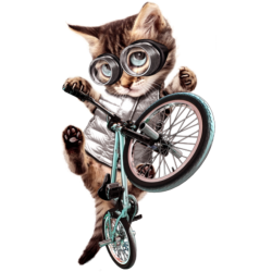 Cat Biker