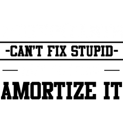 Accountants Can't Fix Stupid