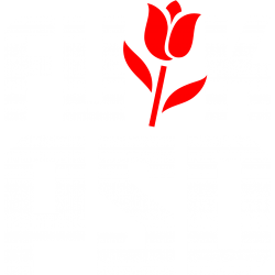 FUCK PSD