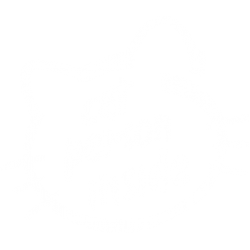 Cat Person Inside