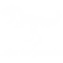 After The Quarantine