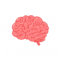 Accountant brain